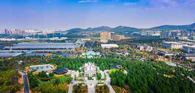 九游·jiuyou（中国）体育官方网站产业